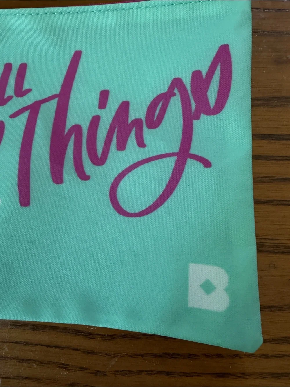 Birchbox NWOT Cosmetic Makeup Bag Pouch Aqua Pink Zip Travel Organizer